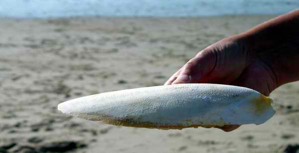 zeeschuim op het strand van Westkapelle